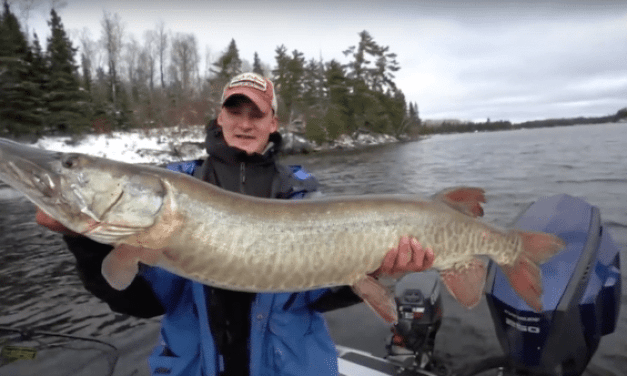 Giant Baits Will Get You Giant Bites