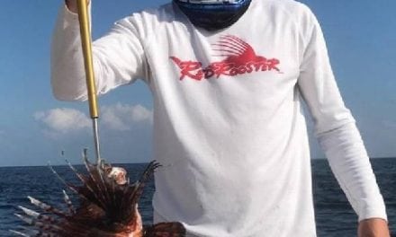 Giant Mississippi Record Red Lionfish Caught