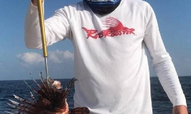 Giant Mississippi Record Red Lionfish Caught