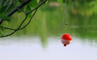 Good Stewardship=Good Ecosystem=Good Fishing. I Heart Logic.