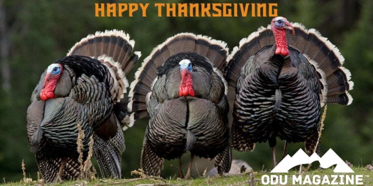 Happy Thanksgiving From ODU