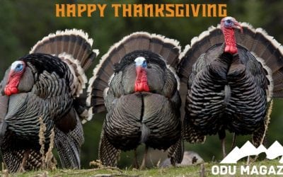 Happy Thanksgiving From ODU