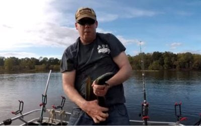 How to Catch, Clean and Cook American Eel