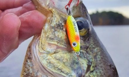 Ice Spoons for Early Ice Crappies