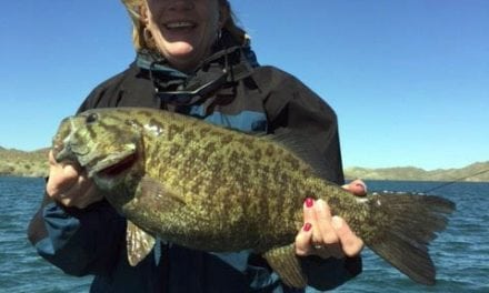 Lake Havasu Yields Another Colorado River record for Arizona