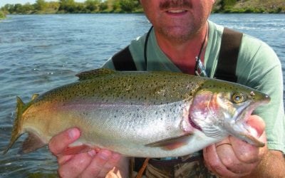 Long Rod River Trout