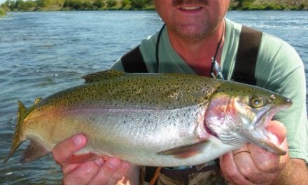 Long Rod River Trout