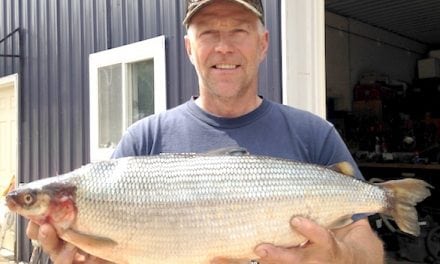 Michigan Announces New Record Cisco (lake herring) from Lake Ottawa