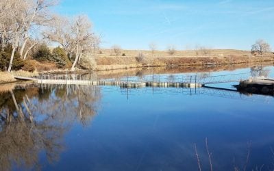 Miscellaneous Addendum