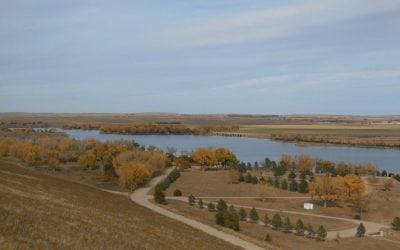 Miscellaneous News Items