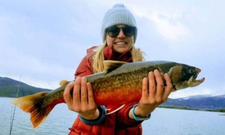 New Colorado Arctic Char Record Caught by Vacationing Virginia Woman