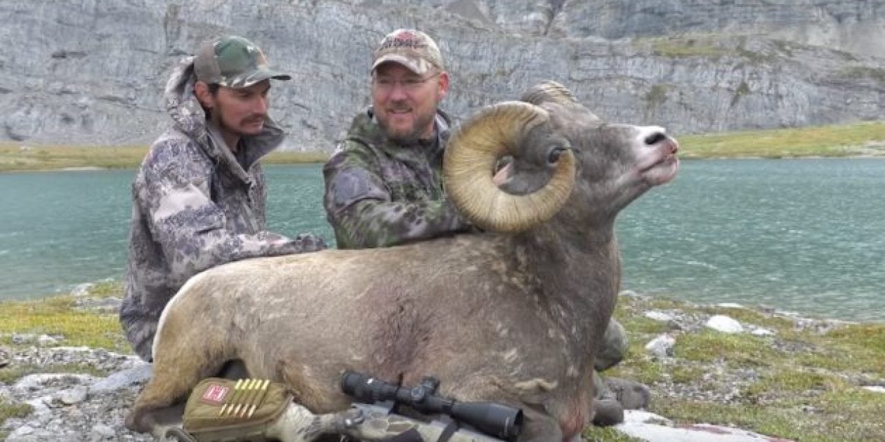New Dall Sheep Hunting Video By The Experience Is Totally Epic
