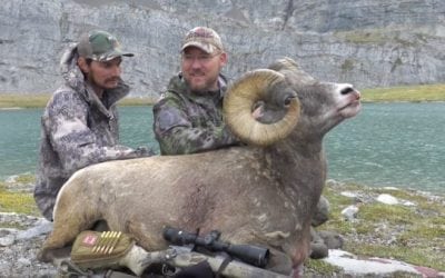 New Dall Sheep Hunting Video By The Experience Is Totally Epic
