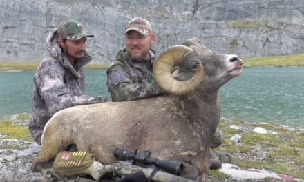 New Dall Sheep Hunting Video By The Experience Is Totally Epic