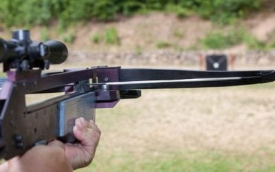 New Law Allows Illinois Hunters to Use Crossbows During Archery Season