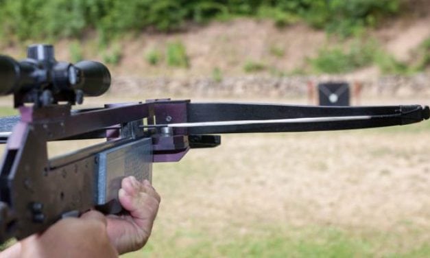 New Law Allows Illinois Hunters to Use Crossbows During Archery Season
