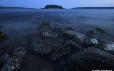 Nikon D850 Hands-On Review