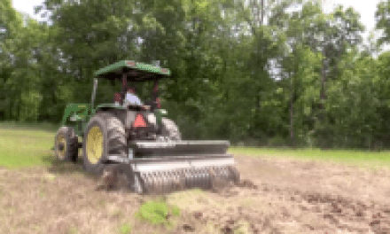 No, Food Plots for Deer Hunting Are Not New or Terrible