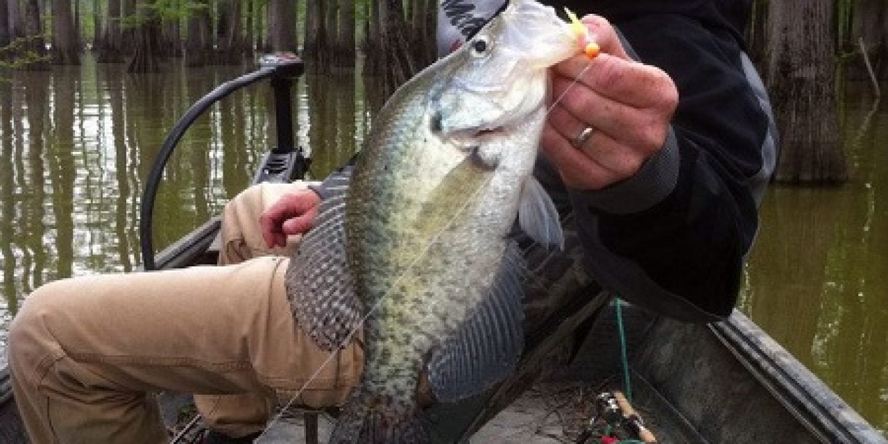 November Edition Of CrappieNOW Is Out For Your Fall Crappie Fishing