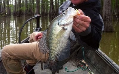 November Edition Of CrappieNOW Is Out For Your Fall Crappie Fishing