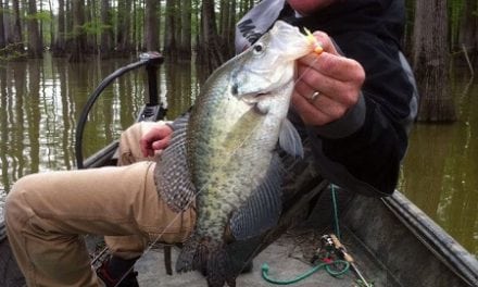 November Edition Of CrappieNOW Is Out For Your Fall Crappie Fishing