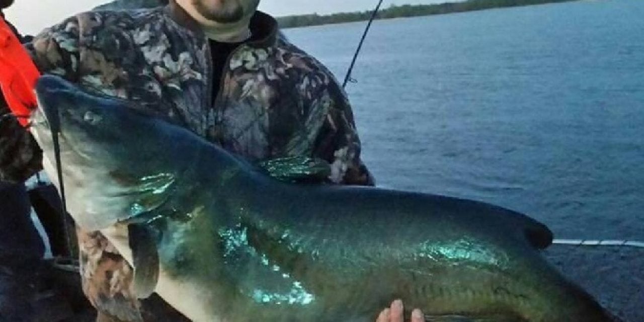 NY State Record New Largest Channel Catfish