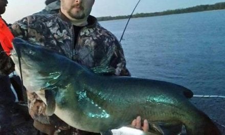 NY State Record New Largest Channel Catfish