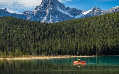 Olympus OM-D System: Carry Less, Capture More