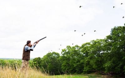 On the Wing: The Best Wild Bird Hunting Lodges in New England