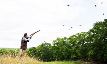 On the Wing: The Best Wild Bird Hunting Lodges in New England