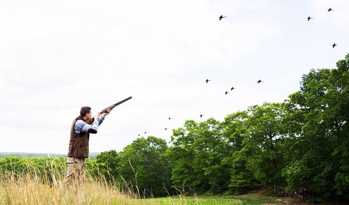On the Wing: The Best Wild Bird Hunting Lodges in New England