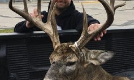 Opening weekend of firearm deer season a success