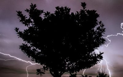 Photo Of The Day By Diogo Sá Lima