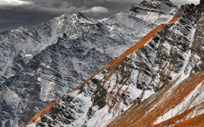 Photo Of The Day By Mike Long