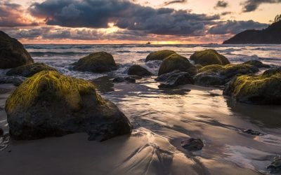 Photo Of The Day By Nadeen Flynn