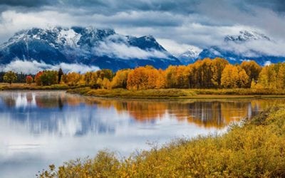 Photo Of The Day By Paul Smithson Phillips