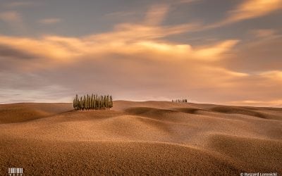 Photo Of The Day By Ryszard Lomnicki