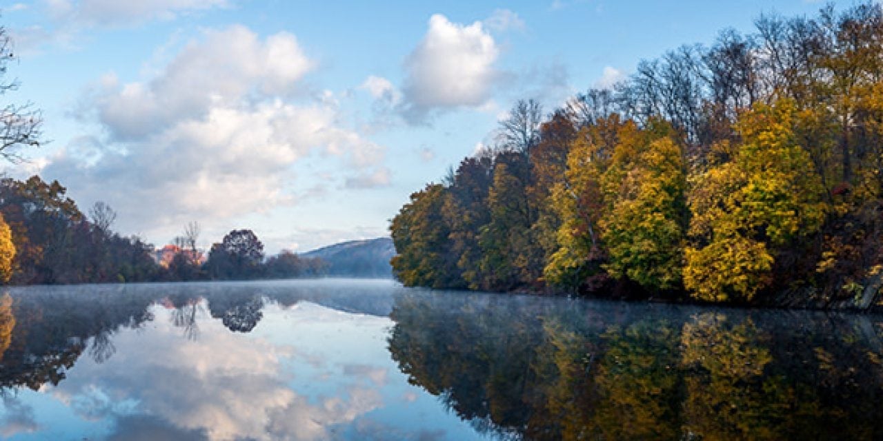 Photo Of The Day By Simmie Reagor