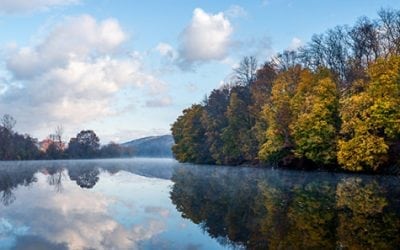 Photo Of The Day By Simmie Reagor