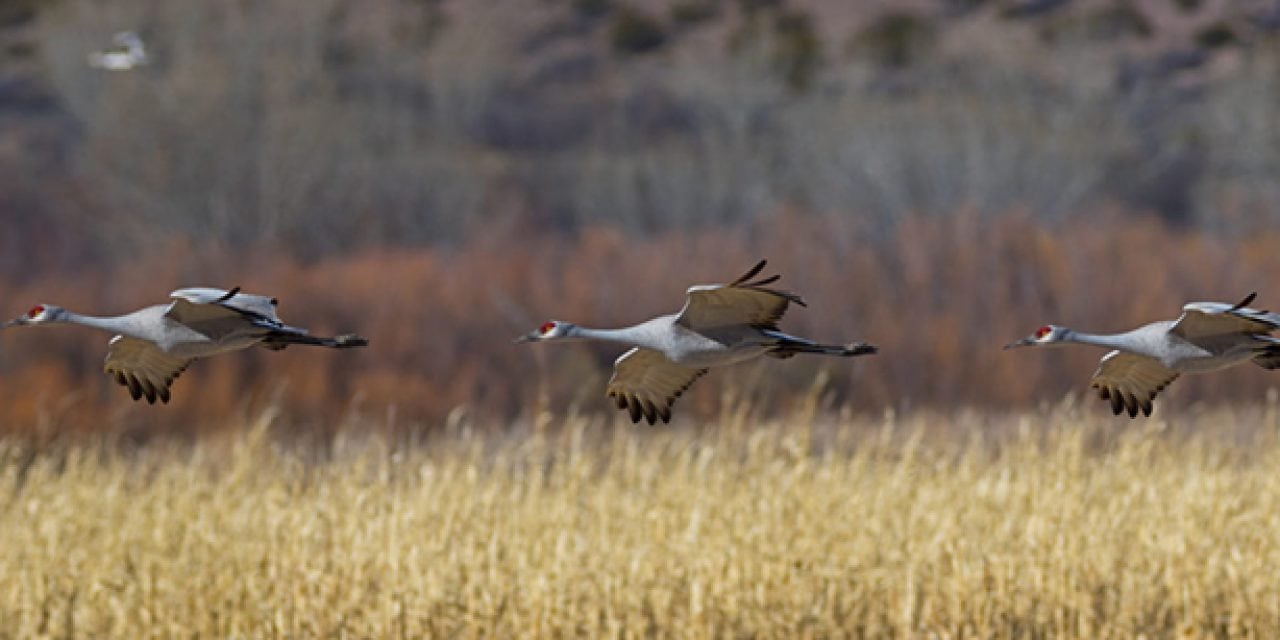 Pleasing Panoramas Assignment Winner Marty Knippel