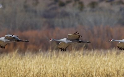 Pleasing Panoramas Assignment Winner Marty Knippel