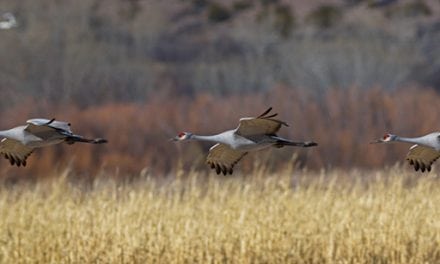 Pleasing Panoramas Assignment Winner Marty Knippel