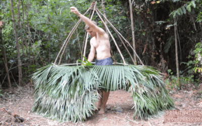 Primitive Technology: Starting Over at a New Location