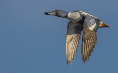 Pro Results Anytime, Anywhere—Part 3