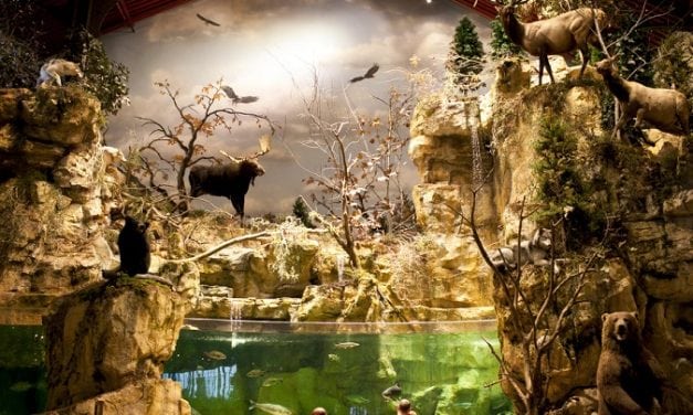 Record Fish Calls East Peoria Bass Pro Shop it’s New Home