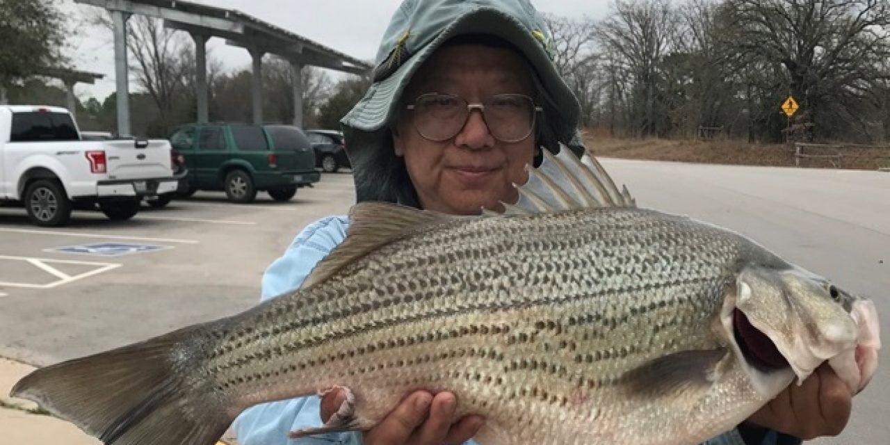 Record setting hybrid striped bass