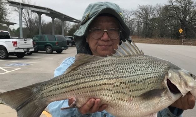 Record setting hybrid striped bass