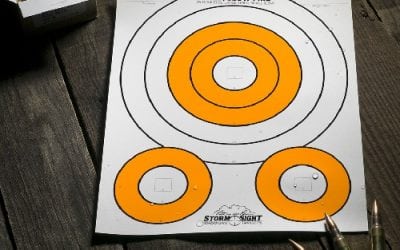 Rite in the Rain Storm Sight All-Weather Targets