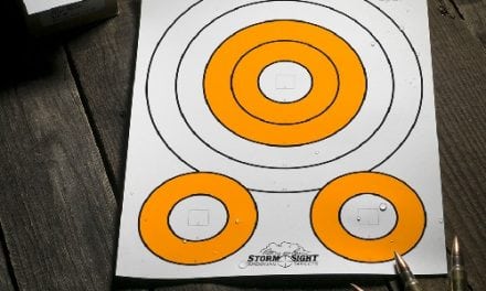 Rite in the Rain Storm Sight All-Weather Targets