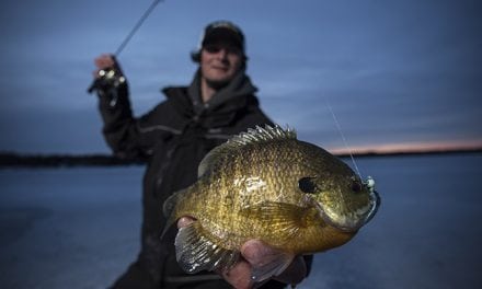 Rock the Glazba: New Must-Have Tungsten Ice Jig